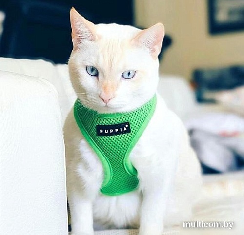 Шлейка Puppia Ritefit PAJA-AC617-GR-L (зеленый)