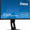 Монитор Iiyama ProLite XUB2494HSU-B1