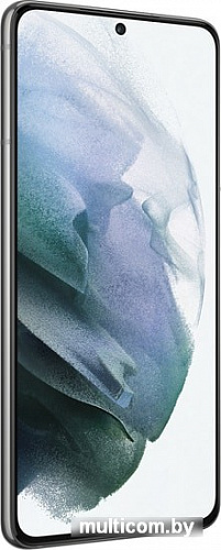Смартфон Samsung Galaxy S21 5G 8GB/256GB (серый фантом)