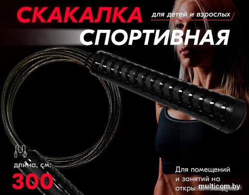 Скакалка Profitnesslab 13907 (3м, черный)