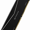 Оперативная память Acer Predator Pallas II 2x16ГБ DDR5 6000 МГц BL.9BWWR.650