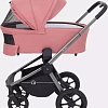 Универсальная коляска Rant Flex Pro RA074 2023 (2 в 1, pink)