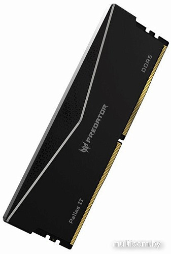 Оперативная память Acer Predator Pallas II 2x16ГБ DDR5 6000 МГц BL.9BWWR.650