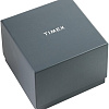Наручные часы Timex TW2V43800