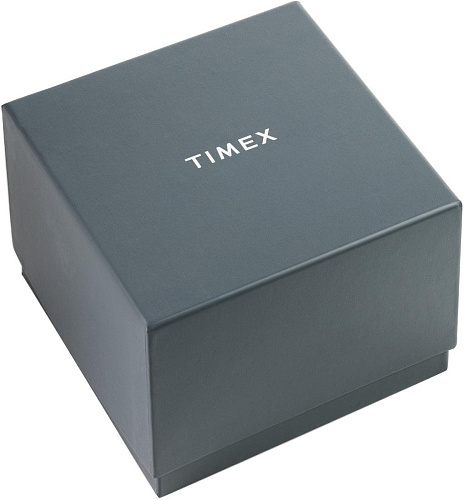 Наручные часы Timex TW2V43800