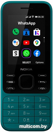 Мобильный телефон Nokia 6300 4G Dual SIM (бирюзовый)
