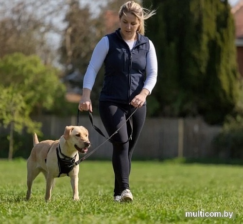 Поводок Halti Training Lead 14140A (красный)