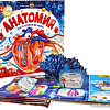 Энциклопедия издательства Malamalama Интерактивная энциклопедия. Анатомия 9785001345848