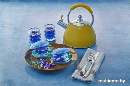Чайник со свистком Rondell Turquoise RDS-939