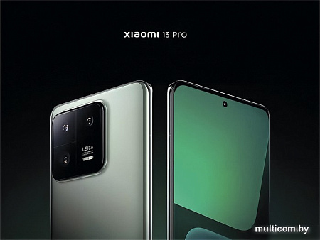 Xiaomi 13 12GB/256GB китайская версия (светло-зеленый)