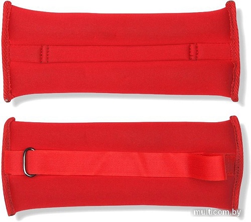 Комплект утяжелителей Indigo SM-259 (красный)