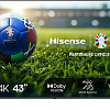 Телевизор Hisense 43A6N EU