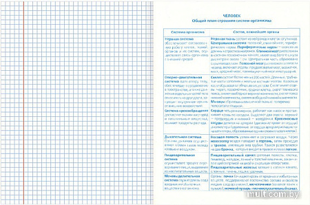 Тетрадь предметная BRAUBERG Классика XXI 404025 (10шт)