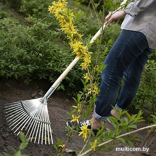 Грабли веерные Plantic Pro 33380-01