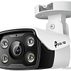 IP-камера TP-Link Vigi C330 (6 мм)