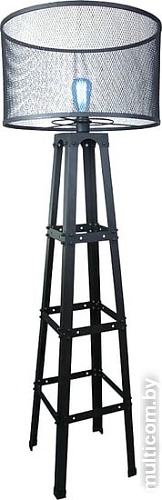 Торшер Lussole Loft LSP-9887