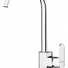Однорычажный смеситель Pyramis Altissimo chrome