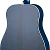 Акустическая гитара Naranda DG220BLS