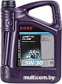 Моторное масло ROWE Hightec Synt RS SAE 5W-30 HC-GM 5л [20061-0050-03]