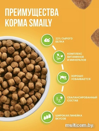 Сухой корм для собак Smaily Adult Maintenance для всех взрослых пород 20 кг