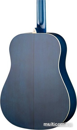 Акустическая гитара Naranda DG220BLS