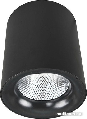 Точечный светильник Arte Lamp Facile A5112PL-1BK