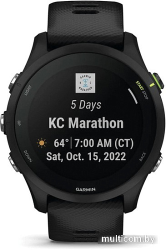 Умные часы Garmin Forerunner 255 Music 46 мм (черный)