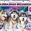 MultiArt Хаски AM30X40-HASKI