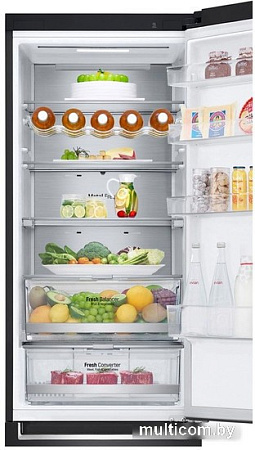 Холодильник LG DoorCooling+ GC-B509SBUM