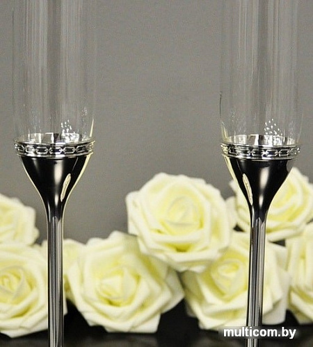 Набор бокалов для шампанского Wedgwood Vera Wang With Love Nouveau Silver 40019717