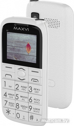 Мобильный телефон Maxvi B7 (белый)
