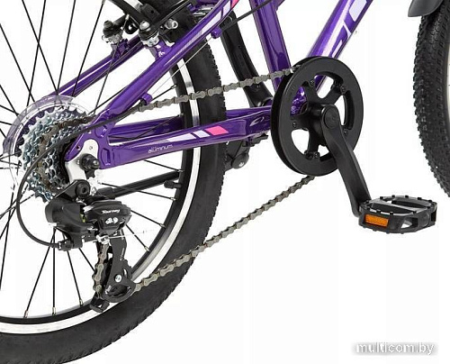 Детский велосипед Schwinn Lula 20 2022 S53150F10OS (фиолетовый)