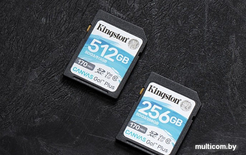 Карта памяти Kingston Canvas Go! Plus SDXC 256GB