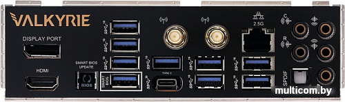 Материнская плата BIOSTAR X670E Valkyrie Ver. 5.0