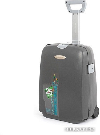 Чемодан-спиннер Francesco Molinary 337-HL301/3-27GRY (серый)