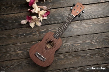 Укулеле Veston KUS 20 NT