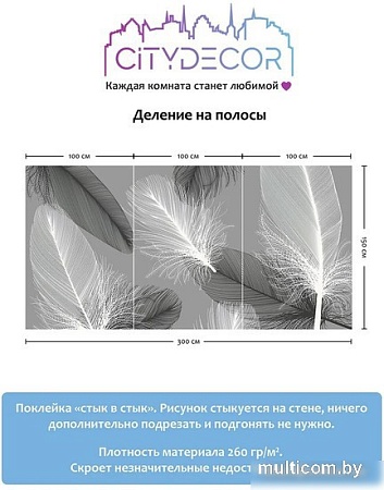 Фотообои Citydecor Абстракция 390 300x150