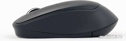 Мышь Gembird MUSW-4B-05
