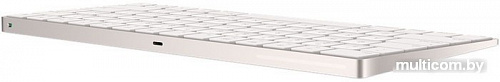 Клавиатура Apple Magic Keyboard [MLA22RU/A]