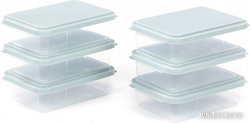 Набор контейнеров Полесье 176x123x50мм с крышками 73911 (6 шт, прозрачный/светло-серый)