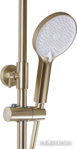 Душевая система Maxonor Pure Life PL2495-6