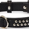 Ошейник Camon DA084/E (кожаный с заклепками черный)