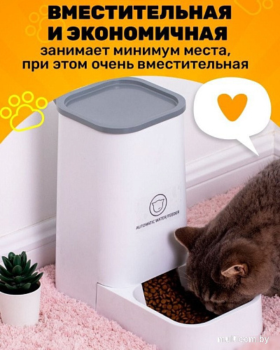 Кормушка электронная Classmark 21101605