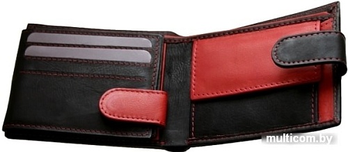 Кошелек Bellugio AM-24-035