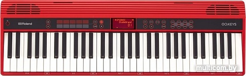 Синтезатор Roland Go:Keys