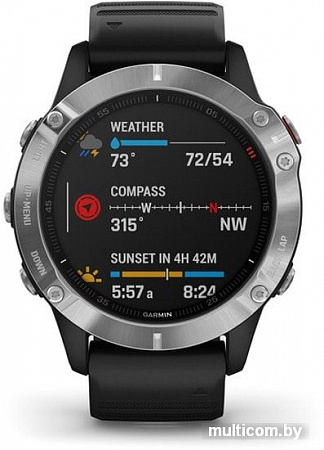 Умные часы Garmin Fenix 6 (серебристый/черный)