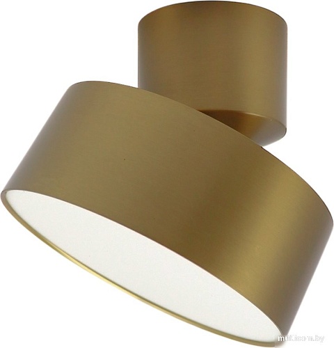 Спот TruEnergy 11517