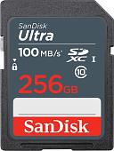 Карта памяти SanDisk Ultra SDXC SDSDUNR-256G-GN3IN 256GB