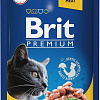 Пресервы Brit Premium лосось и форель в соусе 85 г