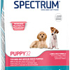 Сухой корм для собак Spectrum Puppy32 для щенков с ягненком 12 кг